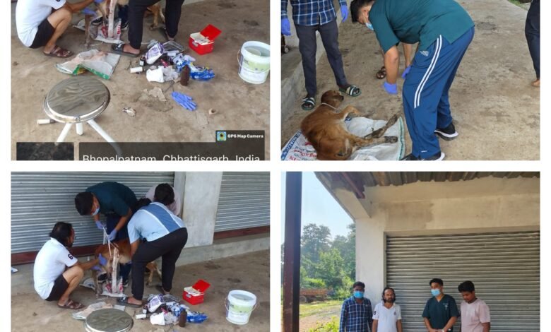 InCollage 20251017 163428535 Console Corptech