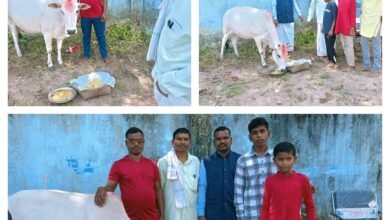 InCollage 20251022 175409868 Console Corptech