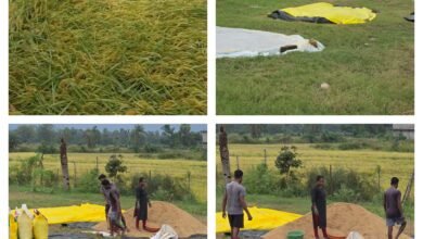 InCollage 20251030 163958739 Console Corptech