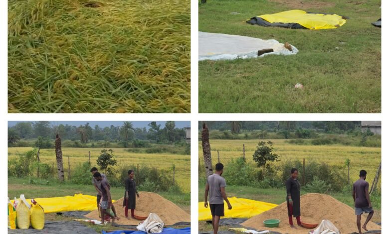 InCollage 20251030 163958739 Console Corptech